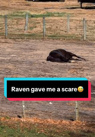 Understanding Birth Experiences at a Birth Center