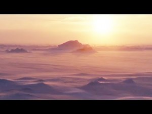 A Collection Of Spring Moments | BBC Earth