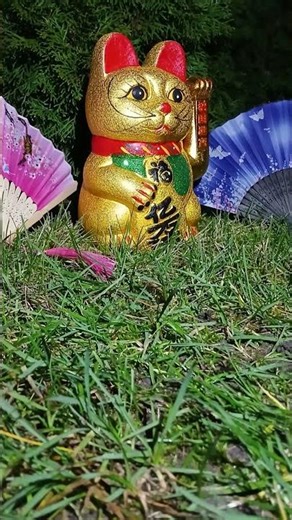 Cat maneki - neko #cat #manekineko #japanesestyle