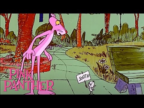 Pink Panther Finds A Little Bird | 35-Minute Compilation | Pink Panther Show
