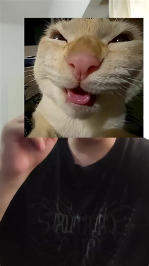 #sonic #workinprogress #sonicthehedgehog #sonicspeedrun #sonicxshadowgenerations