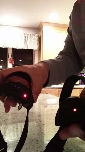 Pet collar beeping without barking