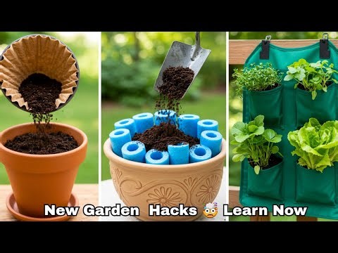 10 Dollar Tree Garden Hacks That Work in 2025 and Beyond