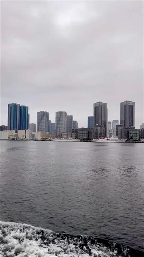 The Rainbow Bridge #tokyo #tokyobay #rainbowbridge #japan #explorejapan