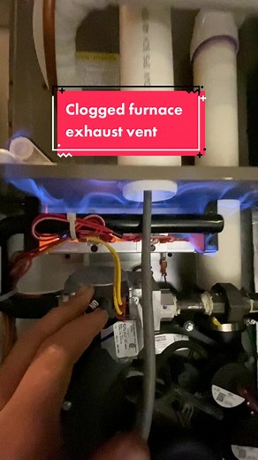 TikTok - Make Your Day