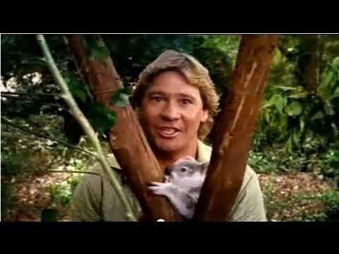 Steve Irwin Customs 'Quarantine' TV ad (2002 Australia)