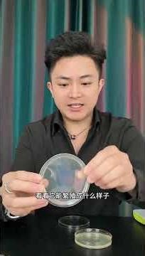 Deodorizing Spray vs. Smart Spending: The Real Cost of Scented Shoes & Socks