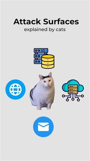 coding.kitty on Instagram: "Attack Surfaces, explained by cats. In collaboration with @aikidosecurity. #code #cat #aikido #security #infosec"