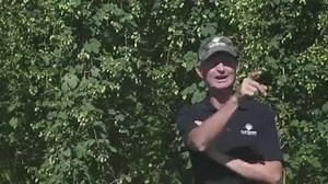 3.9K views · 17 reactions | Clayton Hops is owned and operated by the...