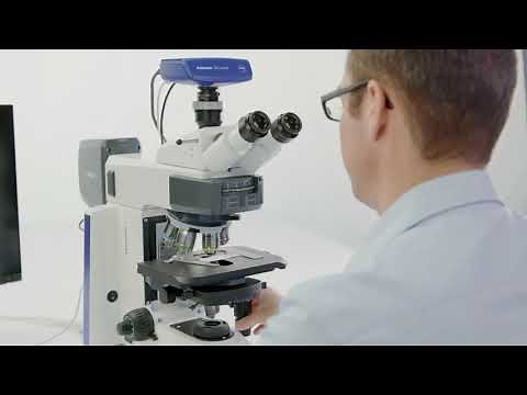 How-to: Multichannel Fluorescence Imaging (Manual Exposure) - ZEISS Axioscope 5