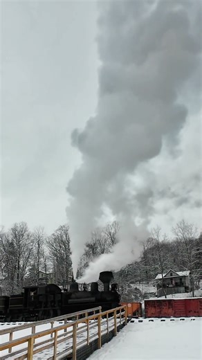 Shay Locomotive Blows Off Steam at Snowy Cass Scenice Railroad