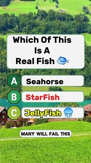 Find the Real Fish! 🐟👀 #trivia #dailyquiz #sea