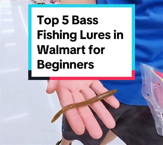 Top 5 Bass Fishing Lures for Beginners at Walmart