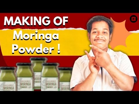 "How to Make Moringa Powder at Home: Step-by-Step Guide!" Pharma Boy