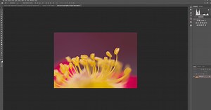 How to Edit Photos in Photoshop: A Beginner's Guide