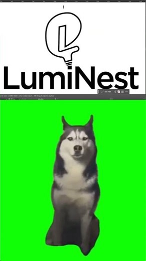 Logo Design Process from Start to Finish