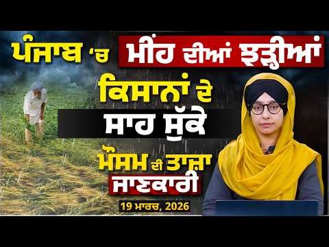 WEATHER REPORT | Punjab-Himachal Weather Forecast l 19 MARCH । THE KHALAS TV