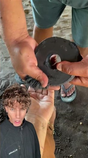 Never put your hand between the two magnets