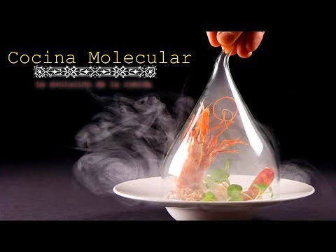 Molecular Cuisine | When Science Enters the Kitchen