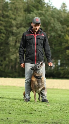 58K views · 911 reactions |  The IQ Training Jacket 2.0 – FULL...