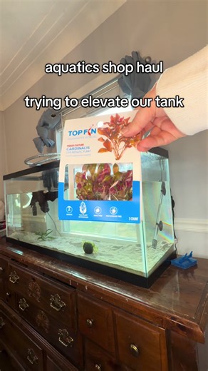 Elevating Our Planted Tank Game
