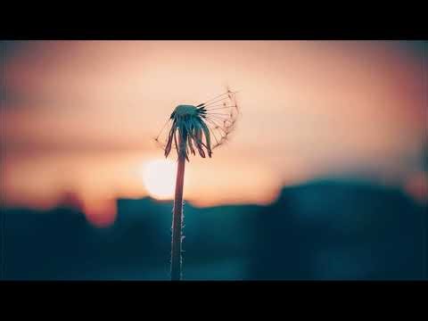 Soft instrumental ringtone| Beautiful sound for relaxing.