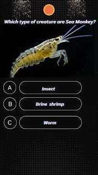 which type of creature are Sea Monkey 🐒 #triviatricks #quiz #factshorts #veiws