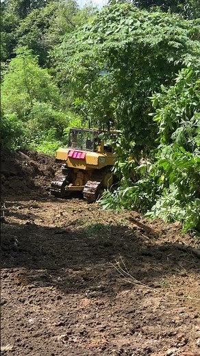 Perfecting Palm Terrace Construction on Slopes Using D6R XL Bulldozer Methods