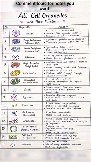 All cell organelles and their functions | easy biology notes