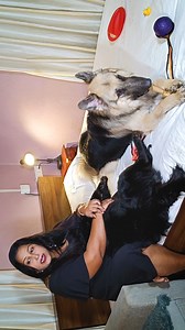 6.5K views · 46 reactions | The human-animal bond is a mutually beneficial relationship between people and animals. #CameraBaba #doggo #germanshepherdofinstagram #germanshepherdworld #gsdnation #dogtraining #sch #cute #husky #gsddaily #instagram #gsdlover #dogphotography #germanshepherdlovers #germanshepherddaily #gsdofig #germanshepherdlove #rottweiler #pitbull #doberman #gsdpage #pet #rescuedog #gsdlovers #germanshepherdsofig #puppylife #goldenretrievers | CameraBaba | Facebook