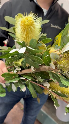 Baisch & Skinner on Instagram: "This weeks cooler walk with Matt #baischandskinner #baischandskinnerstl #freshflowers #wholesale #coolerwalk"
