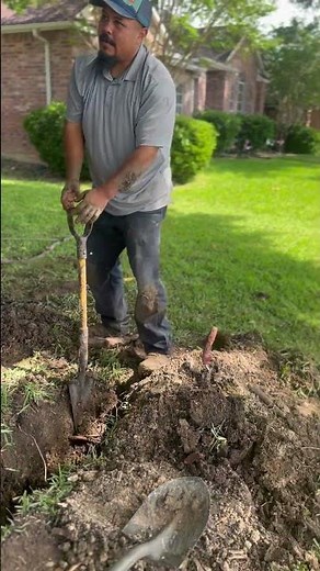 POV: You Finally Find the Hidden Sprinkler Leak