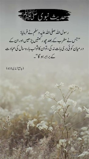 Maghrib Ke Baad 6 Rakat Parhne Ki Fazilaat | Hadees #shorts