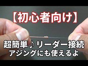 【初心者向け】超簡単にリーダー接続！アジングにも使えるよ