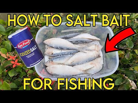 HOW to SALT BAIT for FISHING