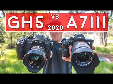Panasonic GH5 vs Sony A7III - Updated 2020 Review
