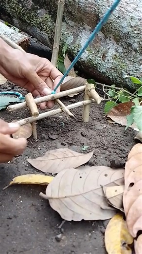 Wow, this is an easy way to set a trap, any animal will definitely be caught. #tips #trap