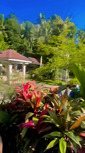 Sto. Nino Cold Spring | Practitioner Arvin V. Pimentel