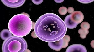 Have you heard about CAR T cells? They are a novel type of immunotherapy that utilizes a patient's own immune cells, makes them stronger and better outfitted to kill cancer cells, and then unleashes them back into the body to do their thing! Check out this new infographic to help you learn all you need to know about CAR T cells~ Link -> https://buff.ly/3XEdQJ5 | Clinical & Molecular Diagnostics | Facebook