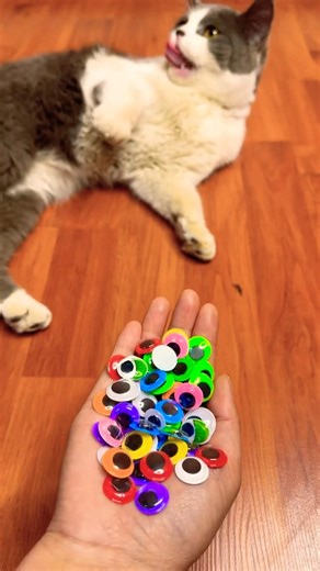 👀Don’t Blink.This Rewinds By Itself. #shorts #reverse #viral #funny #marblerun #asmr #love #cat