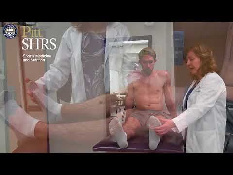 Assessment for Fat Loss and Muscle Wasting