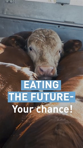 FOUR PAWS | VIER PFOTEN on Instagram: "The food system is broken - but we don’t have to accept it. 📢 ⁠ ⁠ Our multi-award-winning documentary Eating the Future exposes the hidden suffering inside factory farms and the systemic failures behind what we eat. ⁠ ⁠ Voiced by BAFTA-winning Mia McKenna-Bruce (@mia_mbruce), the film follows an undercover investigator driven by fear of climate collapse - and a search for hope. ✨ Along the way, she meets ecological farmers, scientists, slaughterhouse worke