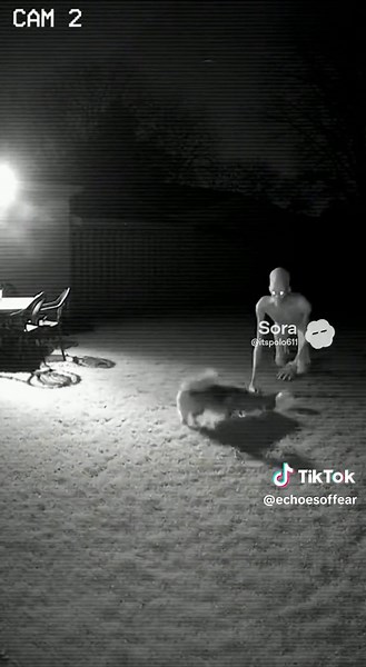 #DarkLegend #fear #Mystery #animation #horror | horror