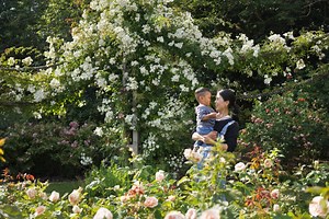 【イギリス】初夏～夏に咲く季節の花「絶景スポット7選」ロンドン駐在妻 | とらママLIFE