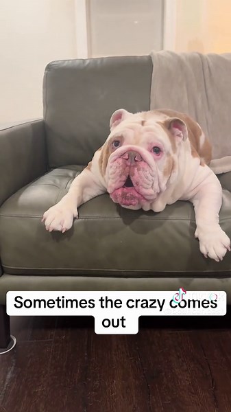 Bouncer Bash (@bouncer.bash)’s video of bouncer and party promoter