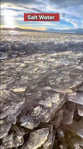 Salt Production Process: How Salt Is Really Made From Sea Salty Water? | #SaltProduction #SaltMaking