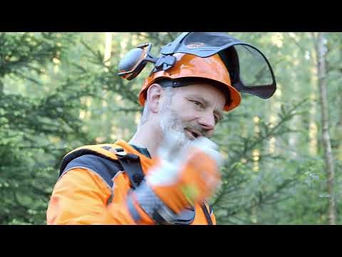 Freischneider richtig einsetzen I Tutorial der Bayerischen Staatsforsten