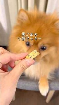 レンジで簡単！黒ごま小枝クッキー
