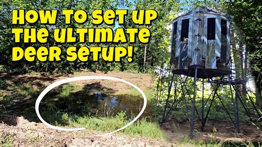 Creating the ultimate deer stand setup at a watering hole