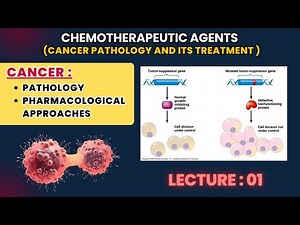 Cancer (Oncology) Lecture 1 | Pharmacology & Pathology Explained for Pharm.D & Medical Students